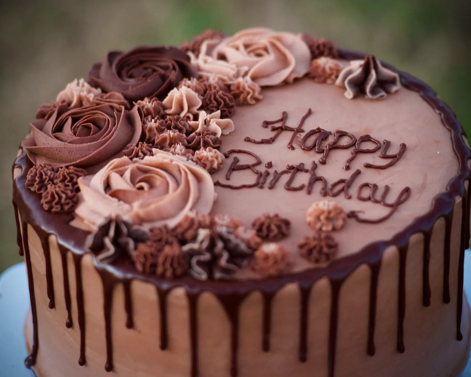 Birthday cover
