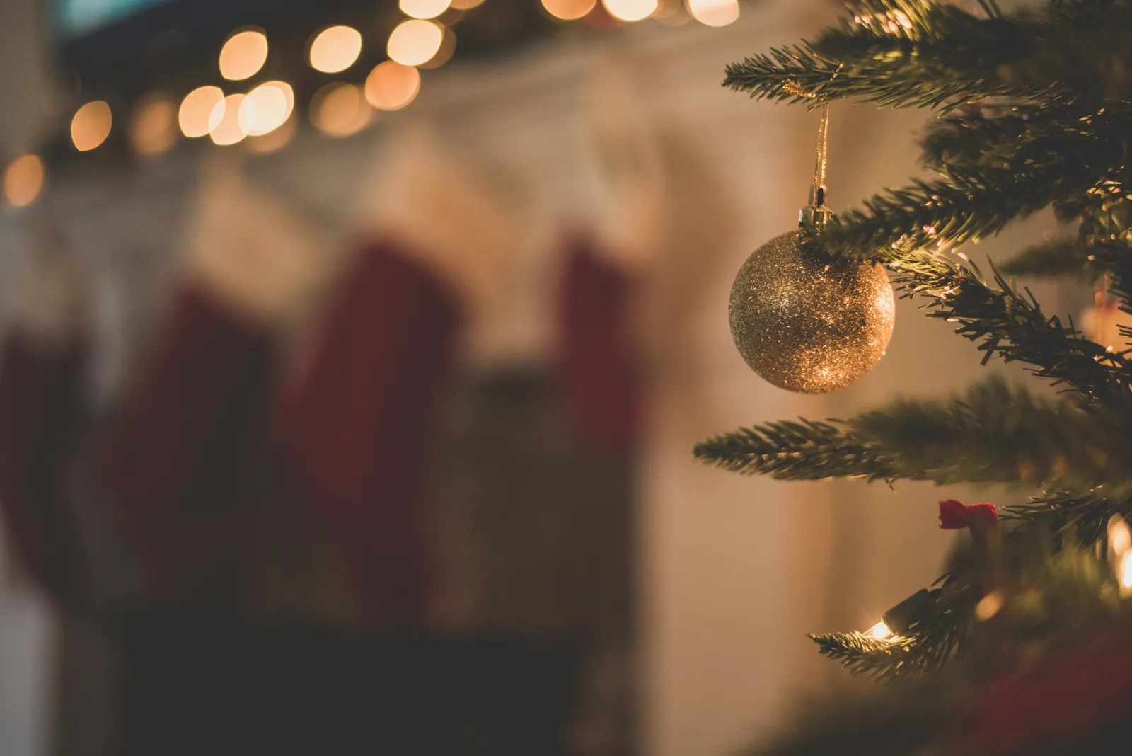 Christmas cover